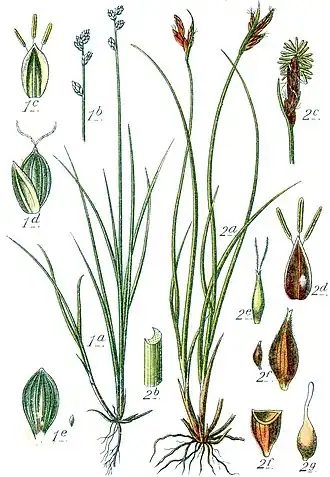 alternativní popis obrázku chybí