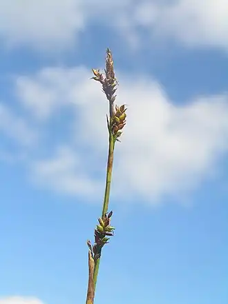 alternativní popis obrázku chybí