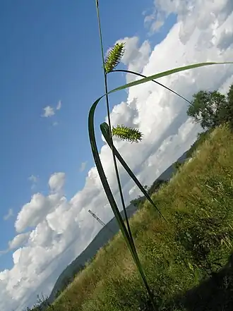 alternativní popis obrázku chybí