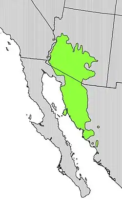 Areál rozšíření