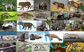 alternativní popis obrázku chybí