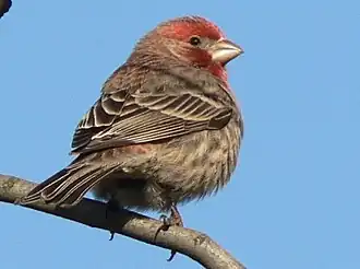 alternativní popis obrázku chybí