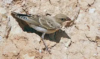 alternativní popis obrázku chybí