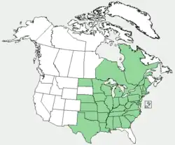 Areál rozšíření