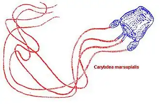 alternativní popis obrázku chybí