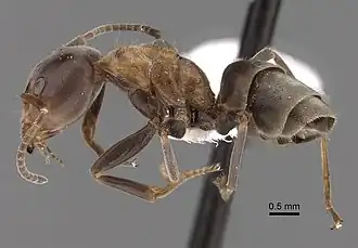 popis obrázku chybí