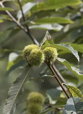 alternativní popis obrázku chybí