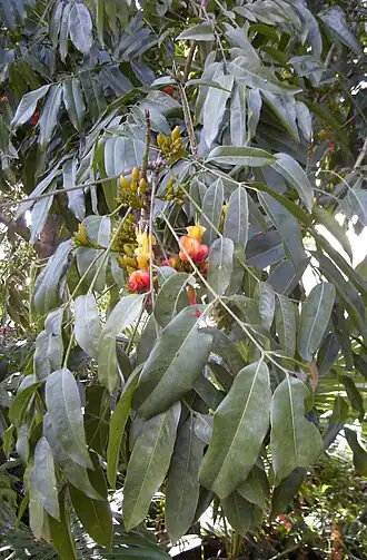 alternativní popis obrázku chybí