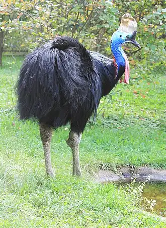 alternativní popis obrázku chybí