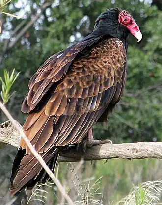 alternativní popis obrázku chybí