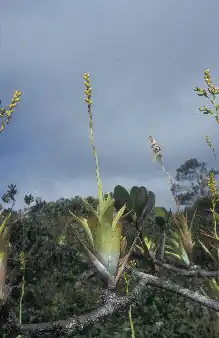 alternativní popis obrázku chybí