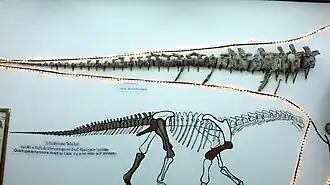 alternativní popis obrázku chybí