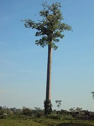 alternativní popis obrázku chybí