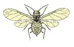 alternativní popis obrázku chybí