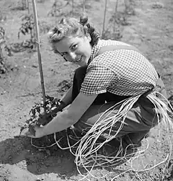 Women's Horticultural College, Waterperry House, Oxfordshire, 1943