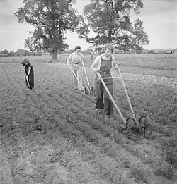 Women's Horticultural College, Waterperry House, Oxfordshire, 1943