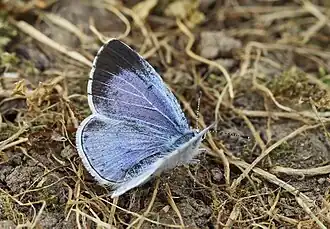 alternativní popis obrázku chybí