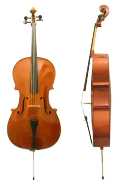 Violoncello