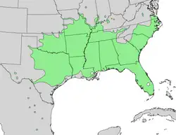 Areál rozšíření