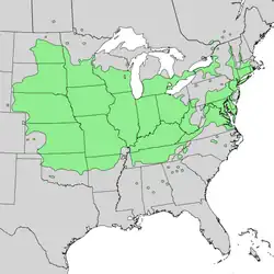 Areál rozšíření