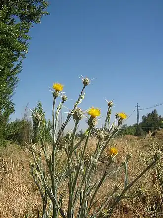 alternativní popis obrázku chybí