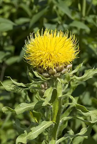 alternativní popis obrázku chybí