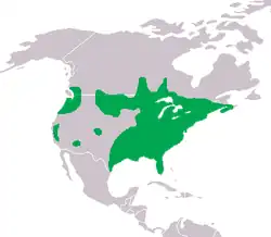 Areál rozšíření