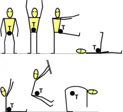 Poloha těžiště „T“ při různých polohách lidského těla.[1]