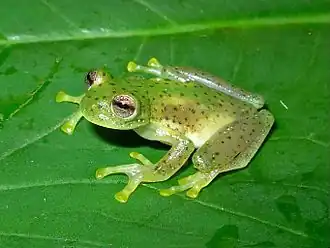 alternativní popis obrázku chybí