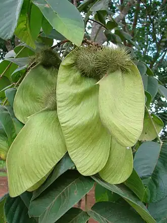 alternativní popis obrázku chybí