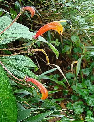 alternativní popis obrázku chybí