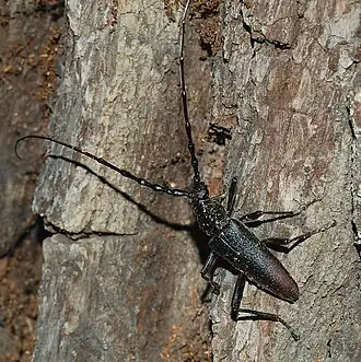 alternativní popis obrázku chybí