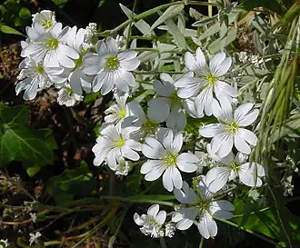 alternativní popis obrázku chybí