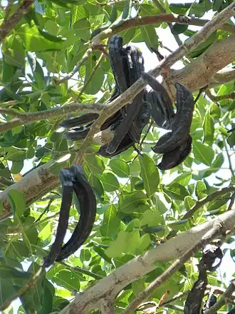 alternativní popis obrázku chybí