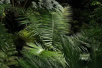 alternativní popis obrázku chybí