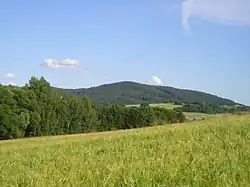 Čerčanský chlum od západu