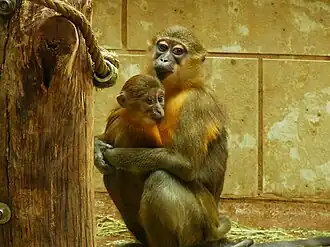 alternativní popis obrázku chybí