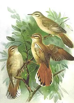 alternativní popis obrázku chybí