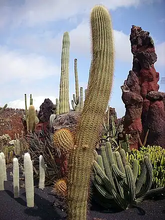 alternativní popis obrázku chybí