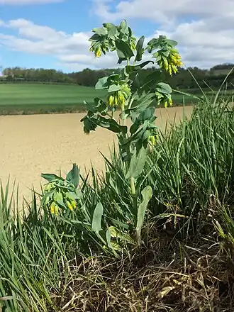 alternativní popis obrázku chybí