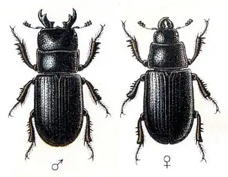 alternativní popis obrázku chybí