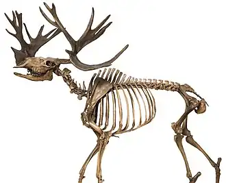 alternativní popis obrázku chybí