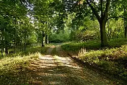 Cesta skrz bývalou Proseč