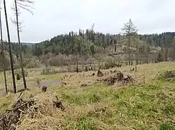 Cesta z Rudoltovic k Novému Mlýnu