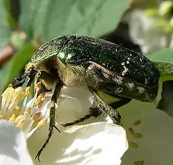 alternativní popis obrázku chybí