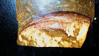 alternativní popis obrázku chybí