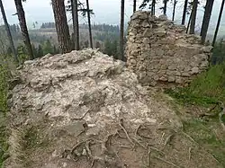 Zřícenina hradu v roce 2014