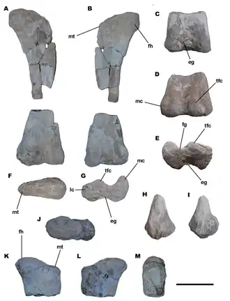 alternativní popis obrázku chybí