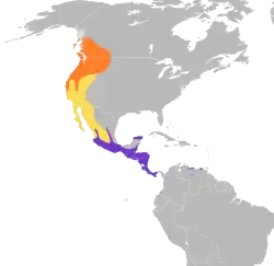 Rozšíření rorýse srpokřídlého oranžově – hnízdiště tažné populace žlutě – tah fialově – stálá populace a zimoviště