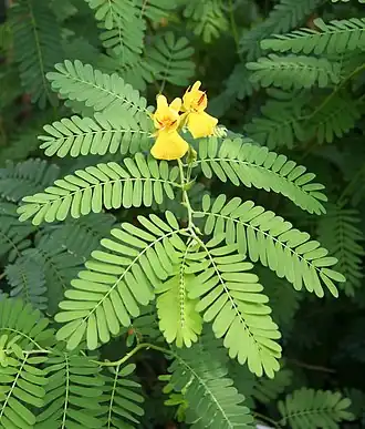 alternativní popis obrázku chybí